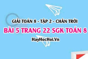 Bài 5 trang 22 Toán 8 Tập 2 Chân trời sáng tạo
